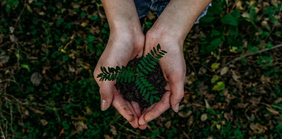 Sustainability